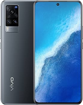 Vivo X60